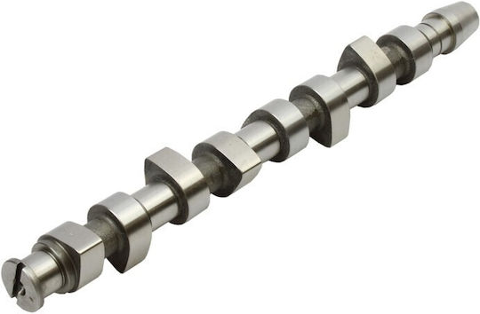Εκκεντροφόρος Άξονας Vw 1,9sdi 038109101e