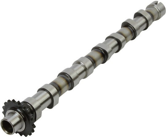 Freccia Exzenterwelle Für Citroen C4 2.0 Hdi 13 D7sq-6a270-ba