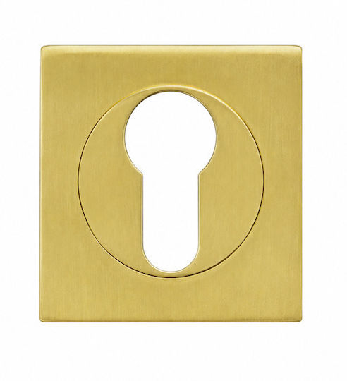 Quadratische Rosette Sicherheits Metallische Aufnahme Zylinder Satin