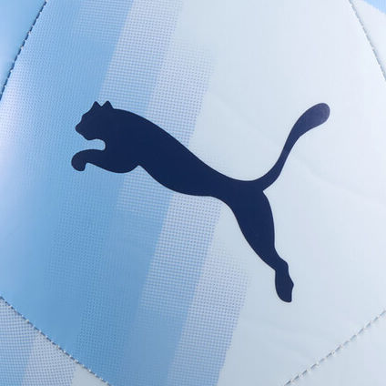 PUMA Mingea De Fotbal Albastră