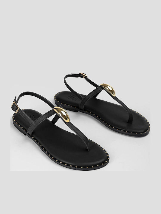 Women's Flat Sandals Black