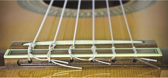Set 6 Corzi Classical Guitar Zola Dimensiuni 0.28 0.29 0.32 0.35 0.40 0.43 3 Înfășurare Placată Cu Argint 3 Fără Înfășurare Transparentă Lungime 105 Cm Culoare Argintie