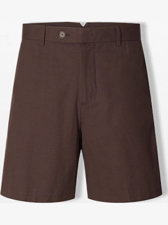 Men's Regular Fit Shorts