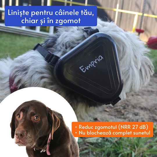 Dopuri De Urechi În Culoare Neagră