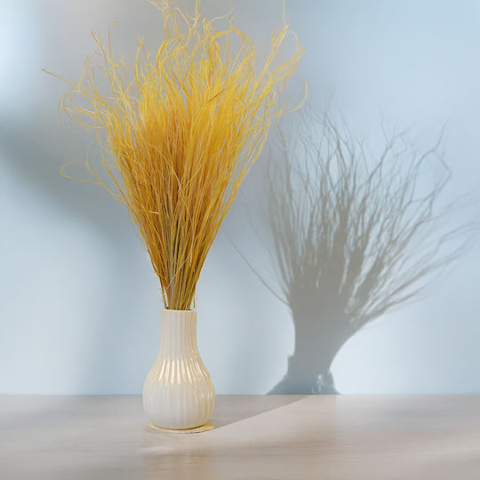 Dried Stipa Feather Grass Stipa Pennata Ginger