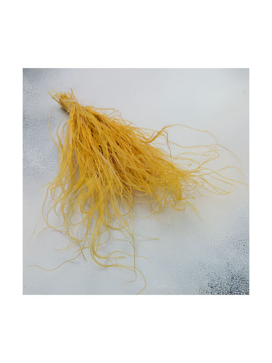 Dried Stipa Feather Grass Stipa Pennata Ginger