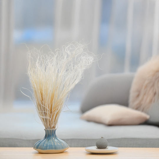 Iarbă Stipa Pennata Uscată Decolorată