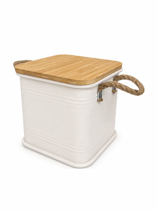 Metallic Storage Box with Lid Beige 26x26x26cm