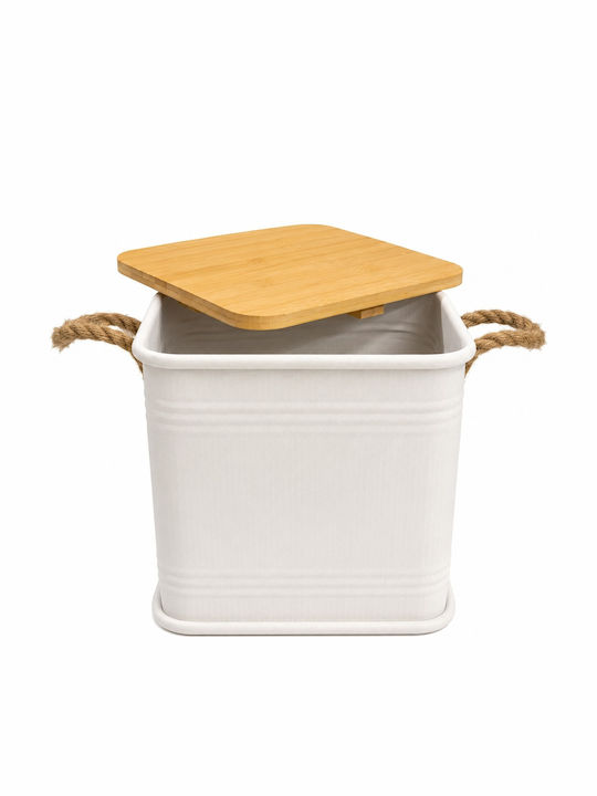 Metallic Storage Box with Lid Beige 26x26x26cm