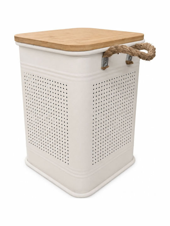Metallische Aufbewahrungsbox mit Deckel Beige 28x28x41cm
