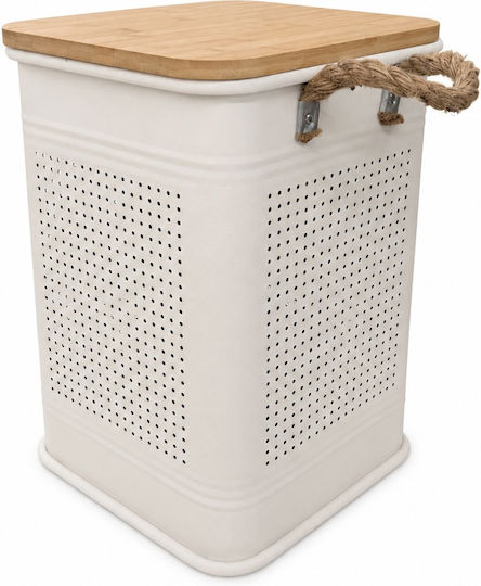 Metallic Storage Box with Lid