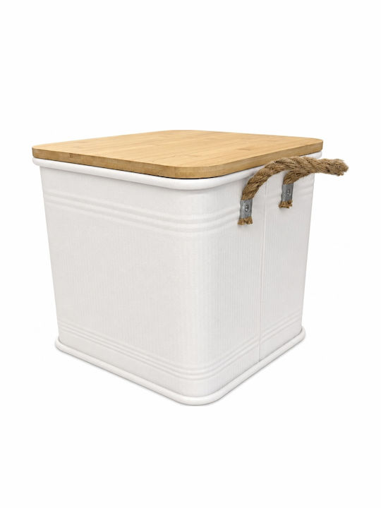 Metallic Storage Box with Lid Beige 31x31x32.5cm