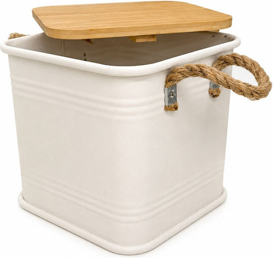 Metallische Aufbewahrungsbox mit Deckel Beige 26x26x26cm