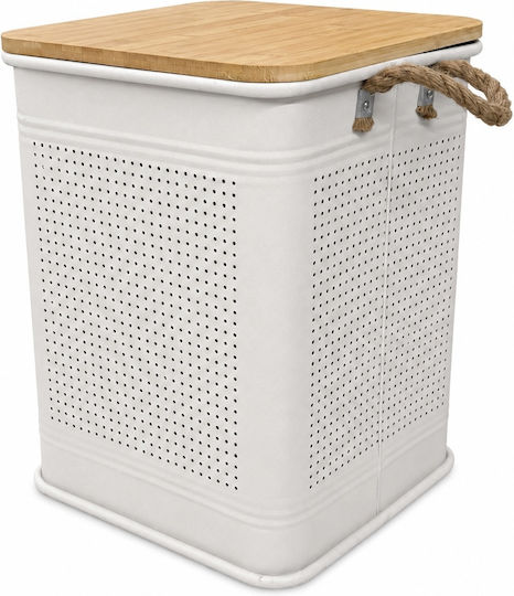 Metallic Storage Box with Lid