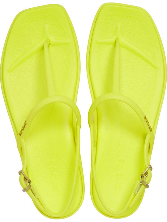 Crocs Crocs