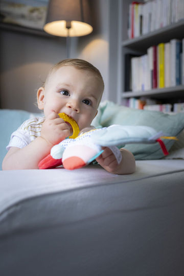 Zubehör für Baby Aktivitätsspielzeug Tier