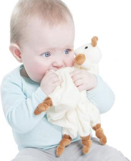 Baby Comfort Cloth Blue