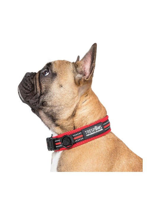 Trespass Hundehalsband Scooby Hundehalsband Uuacptn30004-pxr