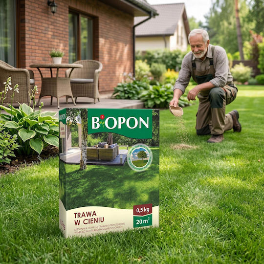 Bros Samen Für Schattenrasen 500gr