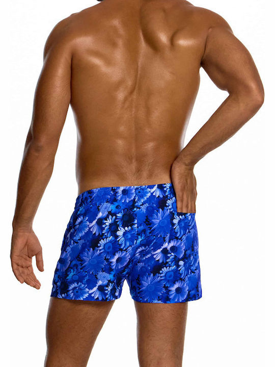 Modus Vivendi