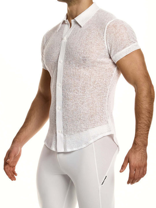 Modus Vivendi
