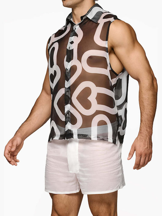 Modus Vivendi