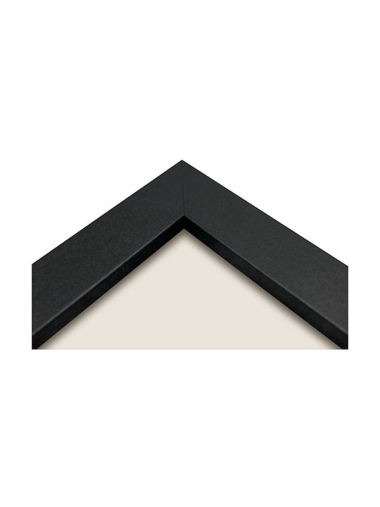 Focus Ivy Plastic Photo Frame With Black Frame
