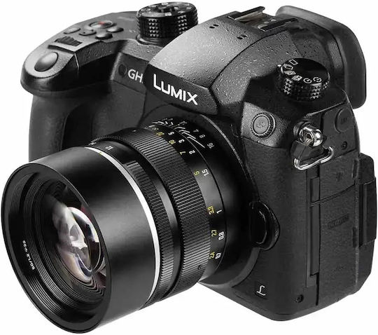 7artisans Crop Camera Lens MF 50mm f/1.2 M43 Macro Black