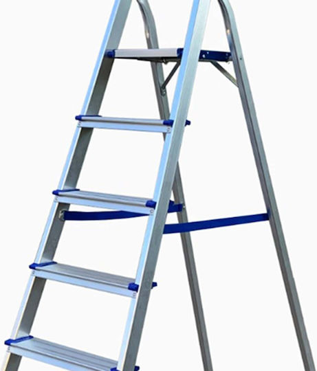 Veritas Aluminium-Leiter mit 2x1 Stufen