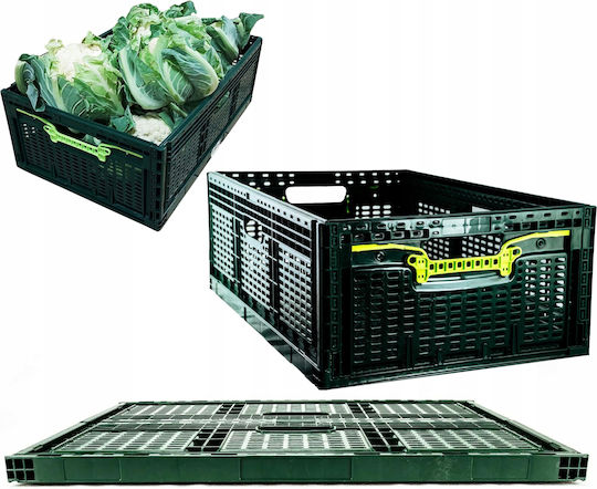 Plastic Green Storage Basket 46lt