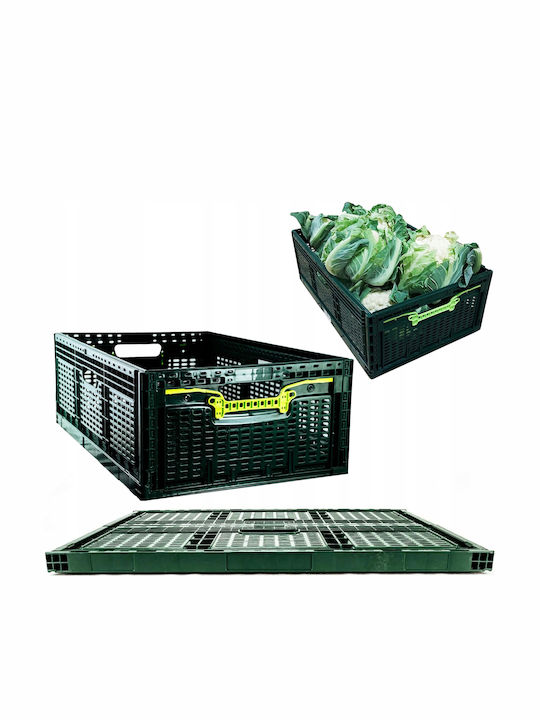 Coș De Depozitare Din Plastic Verde 46lt