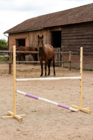 Super Hobby Horse Παιχνίδι