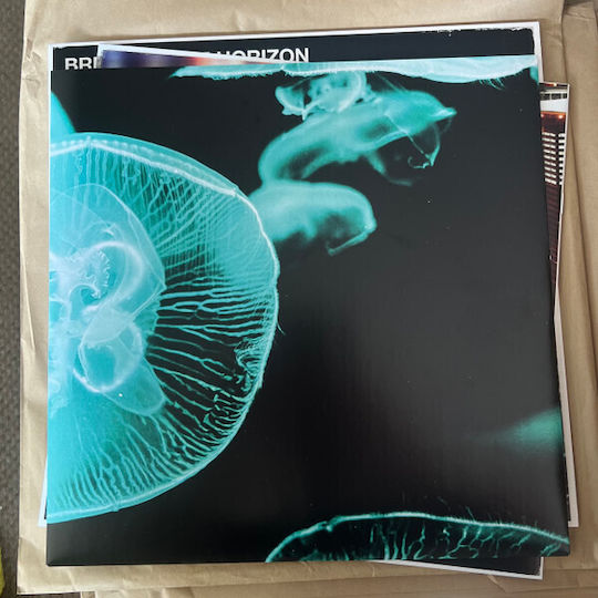 Bring Me Horizon Count Your Blessings Repented Vinyl