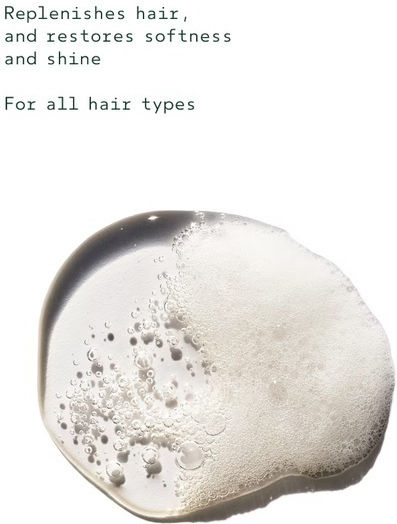 Aveda Brilliant Shine Shampoo 250ml