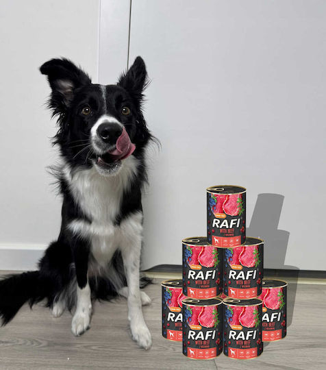 Rafi Nasses Hundefutter Dose Diät mit Rindfleisch ohne Getreide 6x400gr