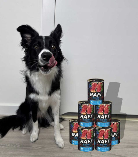 Rafi Hrana Umedă Pentru Câini în Conservă Dietetică cu Miel Fără Cereale 6x400gr