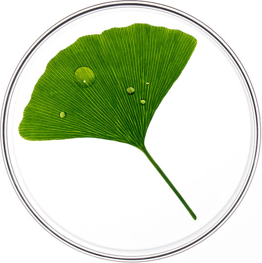 Phyto Phytocyane Traitement Anti-Chute Ампули за Коса Против Косопад за Жени 12x5ml