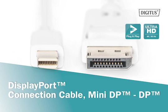 Digitus Kabel DisplayPort-Stecker - Mini-DisplayPort-Buchse 3.0m Weiß (AK-340102-030-W)