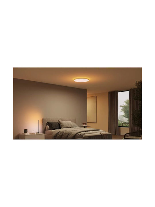 Philips Ceiling Mount Light White