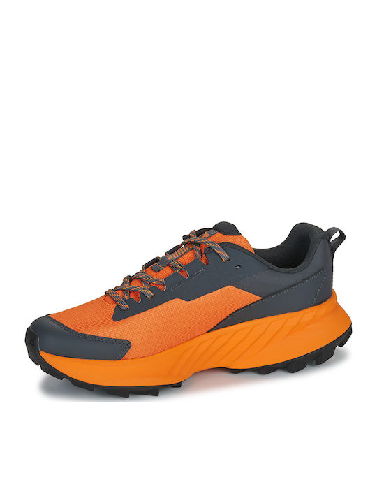 Helly Hansen Awe Ανδρικά Ορειβατικά Παπούτσια Γκρι