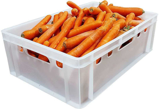 Box E2 Καλάθι Αποθήκευσης Πλαστικό με Καπάκι Λευκό 60x40x20cm