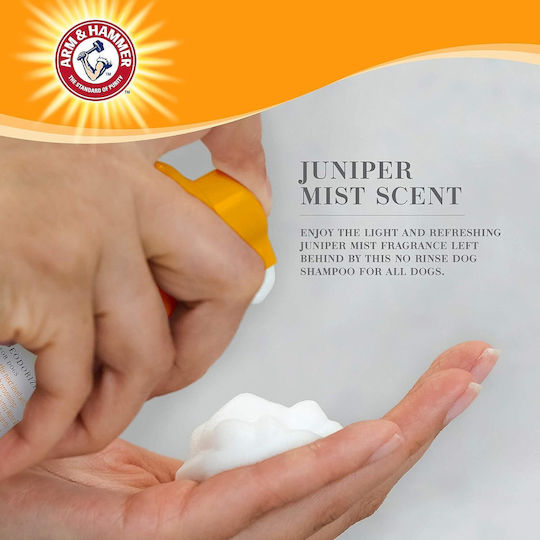 Σαμπουάν 2 1 Χωρίς Ξέβγαλμα Arm & Hammer Αφρός Χωρίς Ξέβγαλμα Σόδα Άρωμα Κέδρου 237 Ml