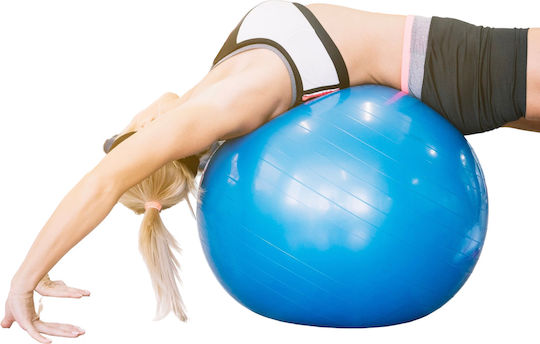 Exercise Ball Fitball Pilates 65cm