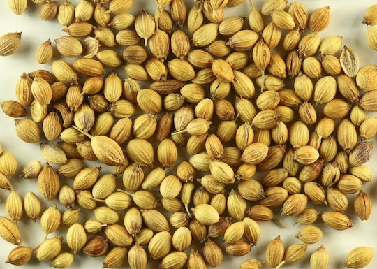 RolPol Coriandru 100g