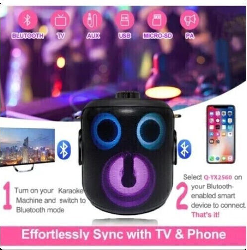 Difuzor Karaoke cu Microfoane Wireless WS-930 Roșu