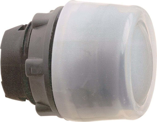 Schneider Electric Schalter Druckknopf mit Beleuchtung 1Stück