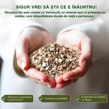 Sachet Parfumat Pentru Garderobă Soul Scents Ananas