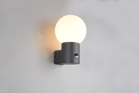 Trio Lighting Mures Iluminat Exterior Montat Pe Perete Trio Lighting Mures Iluminat Exterior Montat Pe Perete
