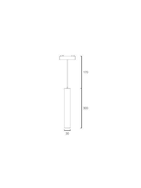 Sun Light Orient Pendant Ceiling Light White Rail