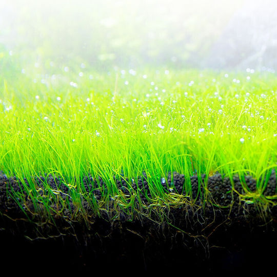Fluval Bio-stratum 2kg